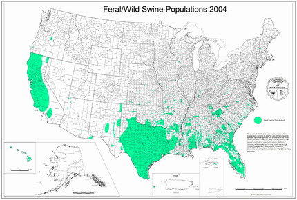 Feral Hog Range in the US